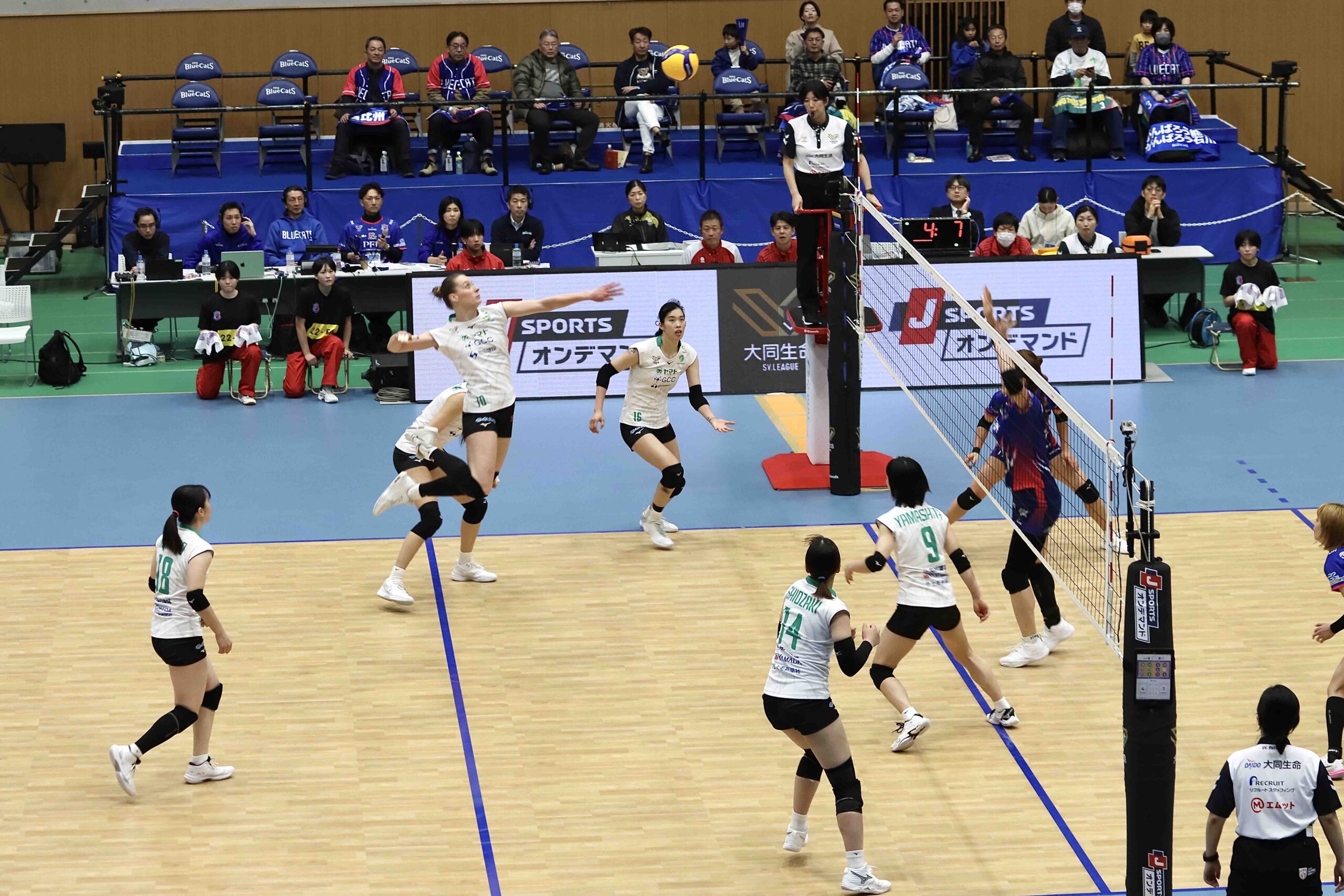 IMG_1164 のコピー