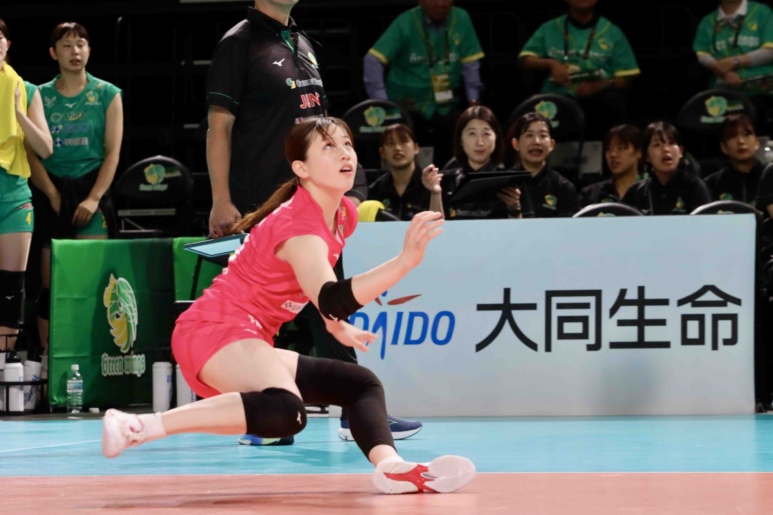 IMG_1489 のコピー