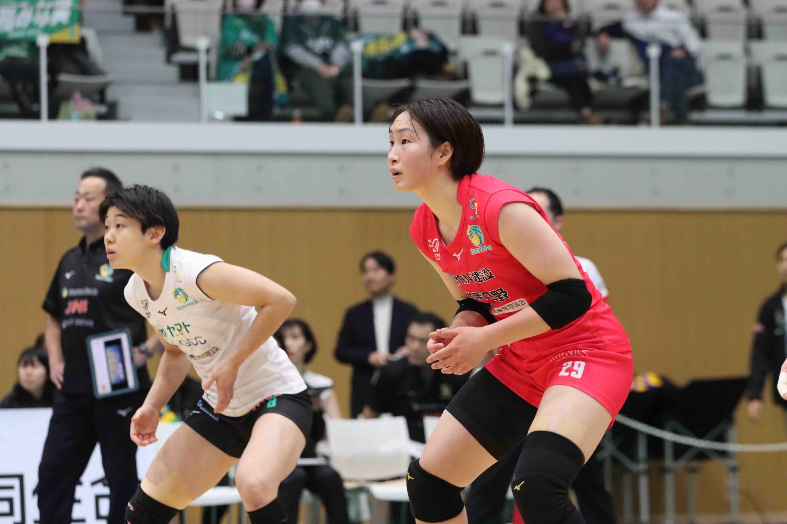 IMG_1494 のコピー