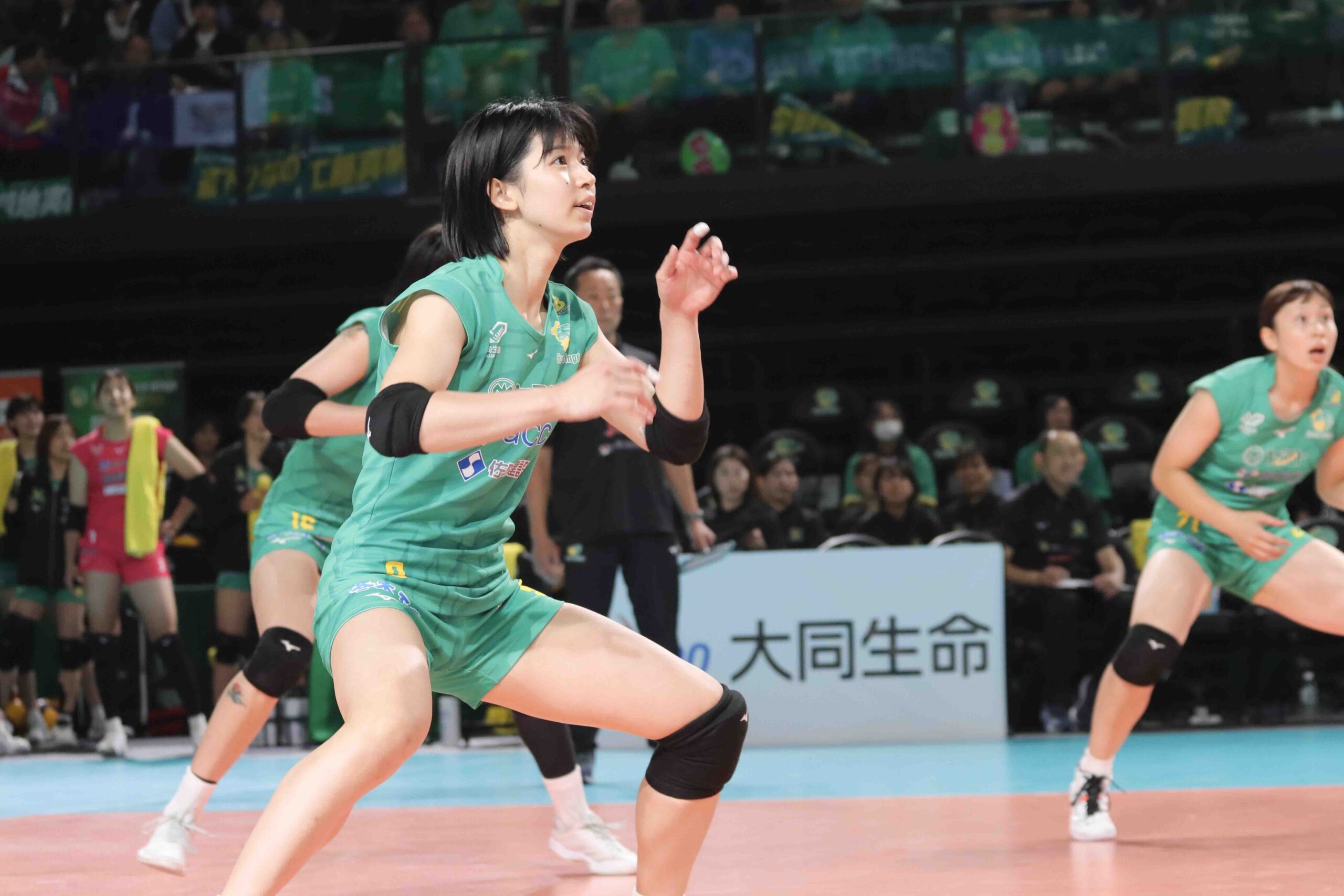 IMG_1710 のコピー