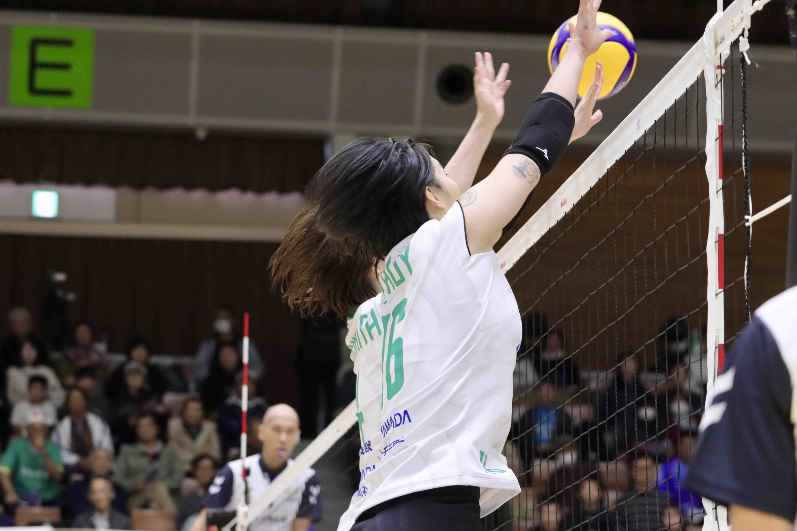 IMG_2244 のコピー