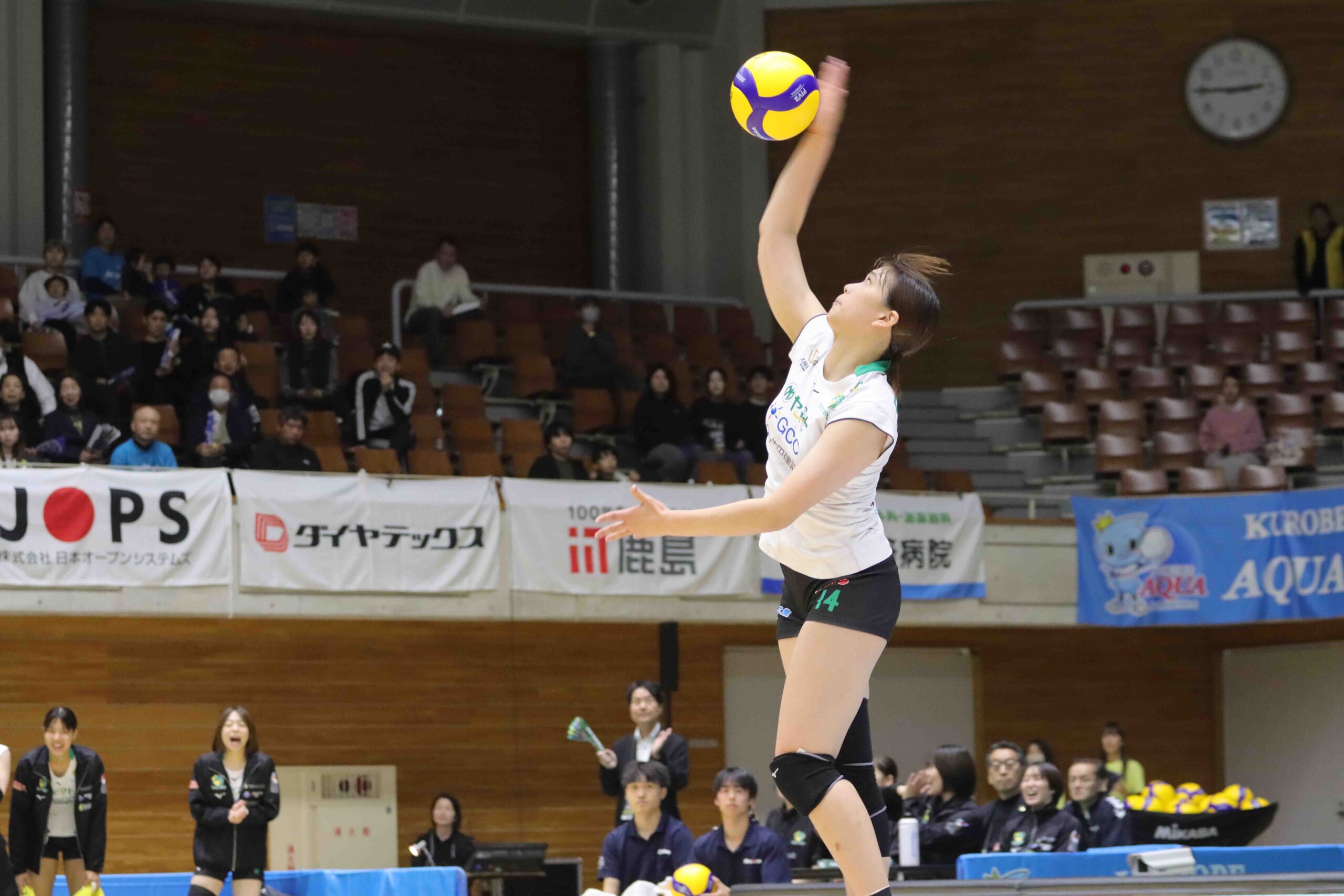 IMG_2672 のコピー