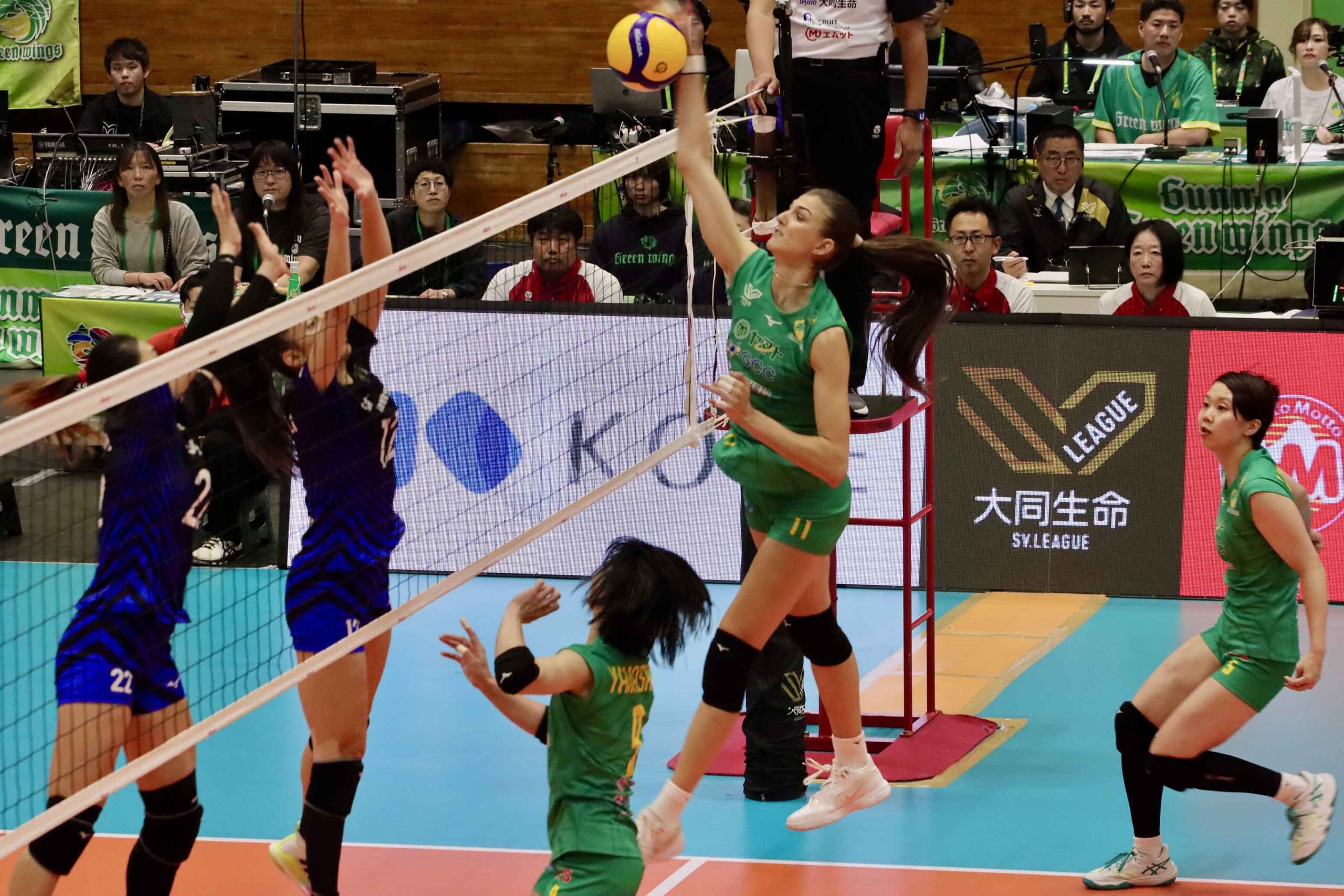 IMG_2974 のコピー