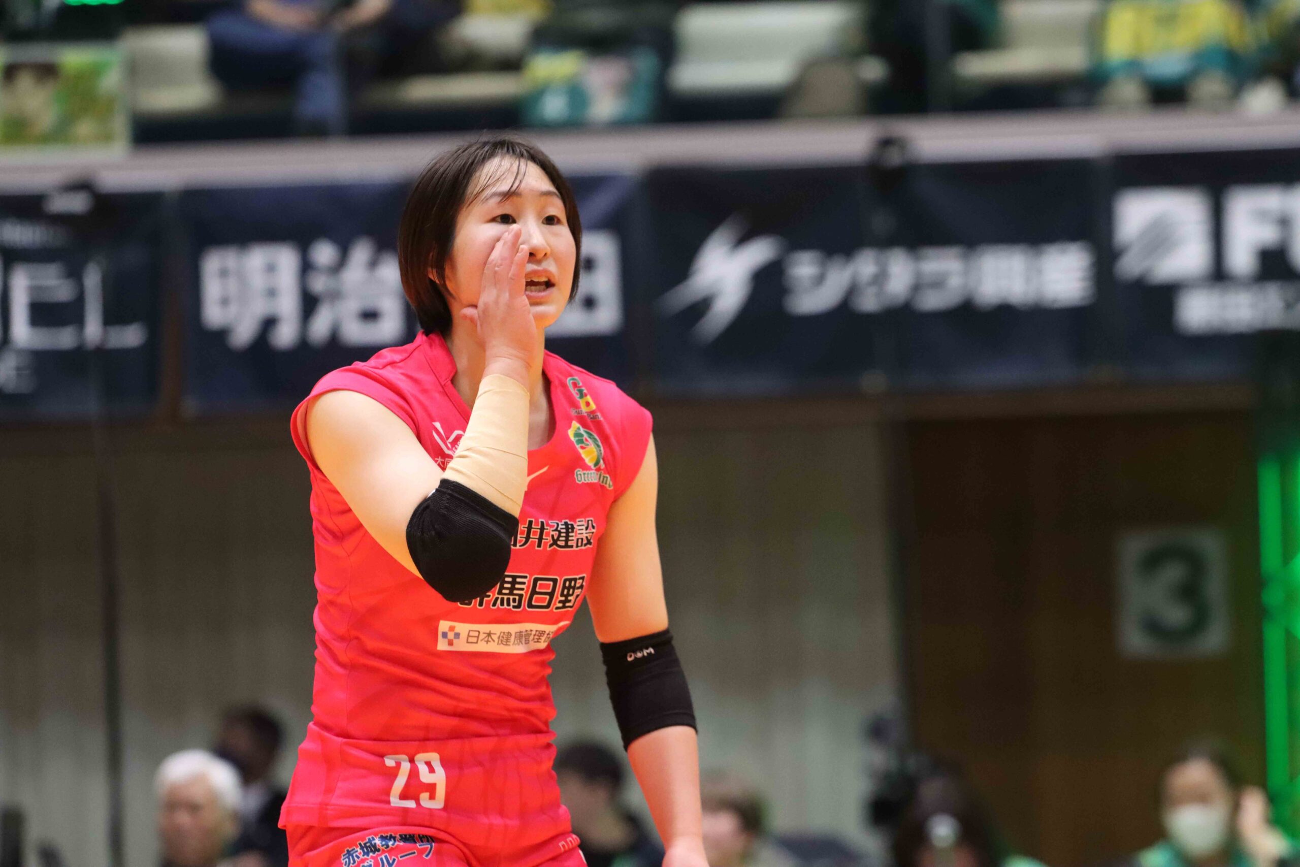 IMG_3172 のコピー