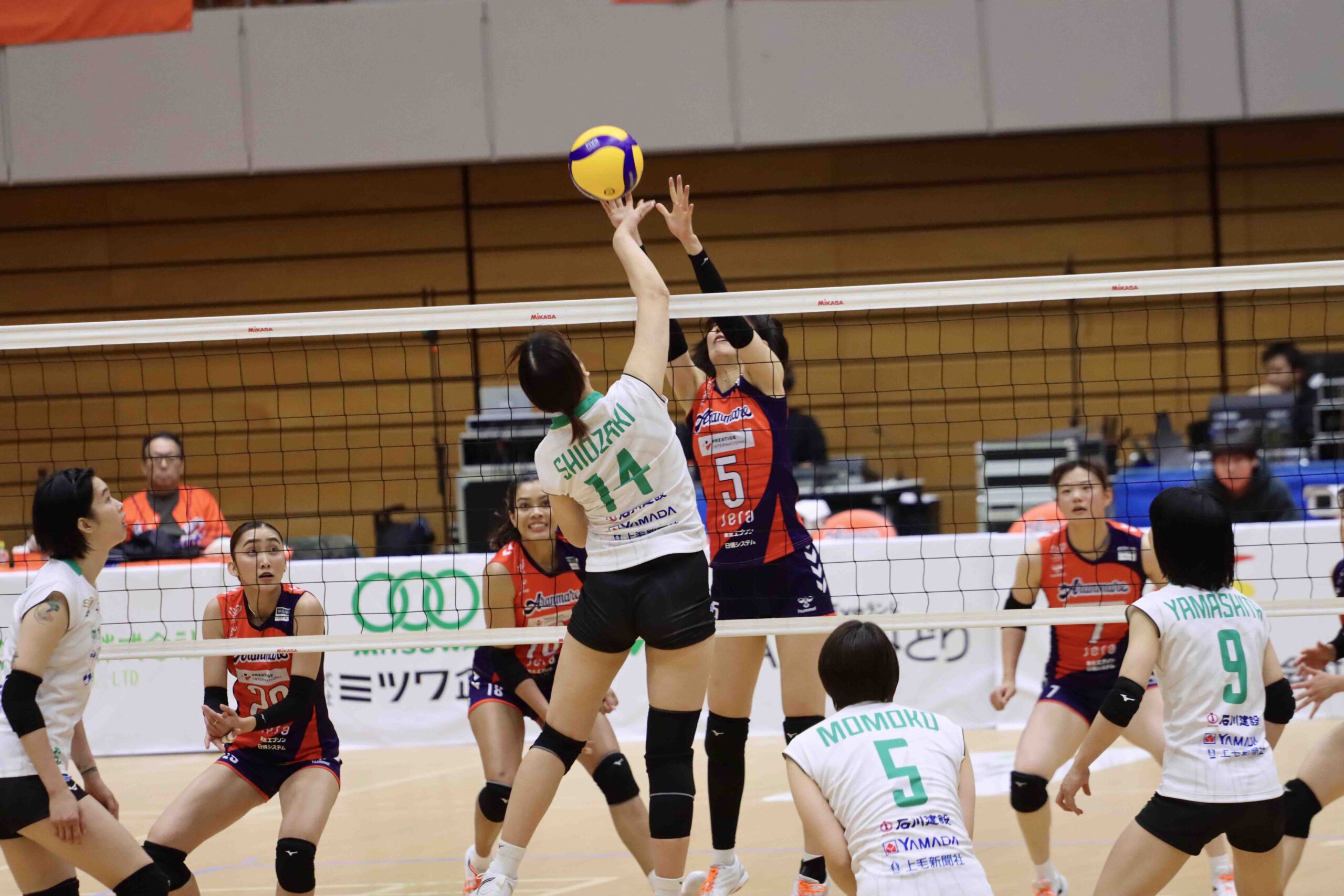 IMG_3654 のコピー