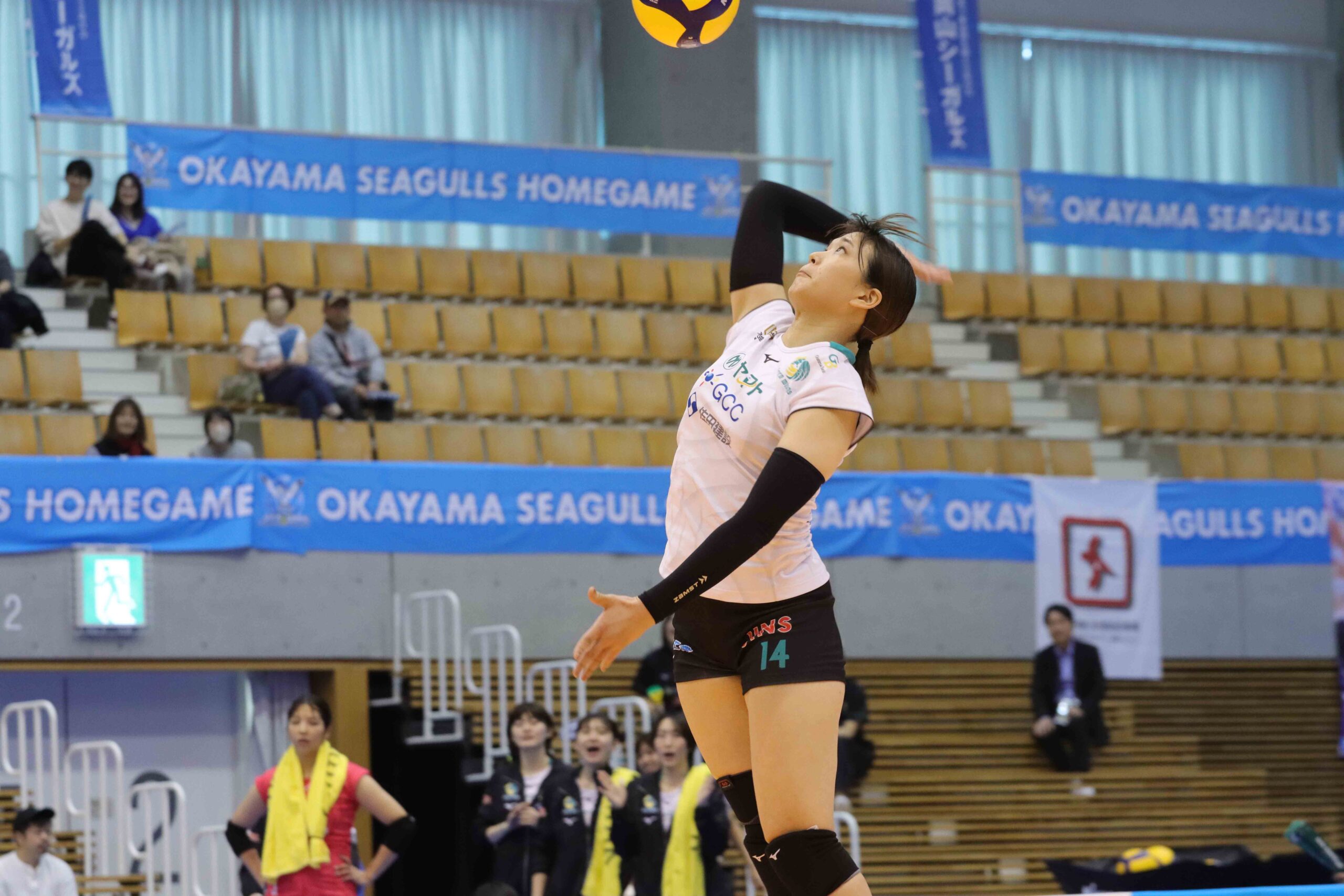 IMG_4474 のコピー