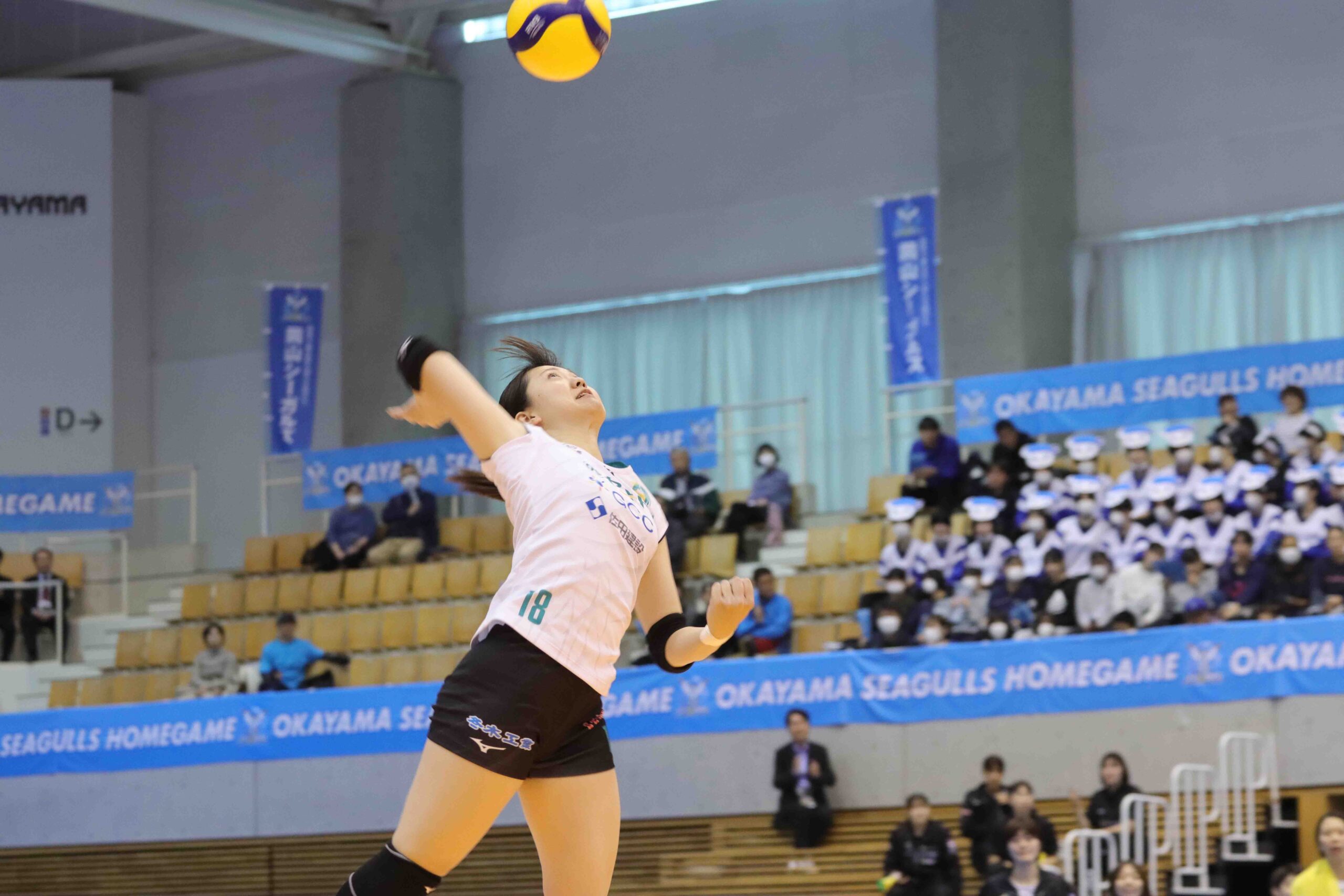 IMG_4556 のコピー