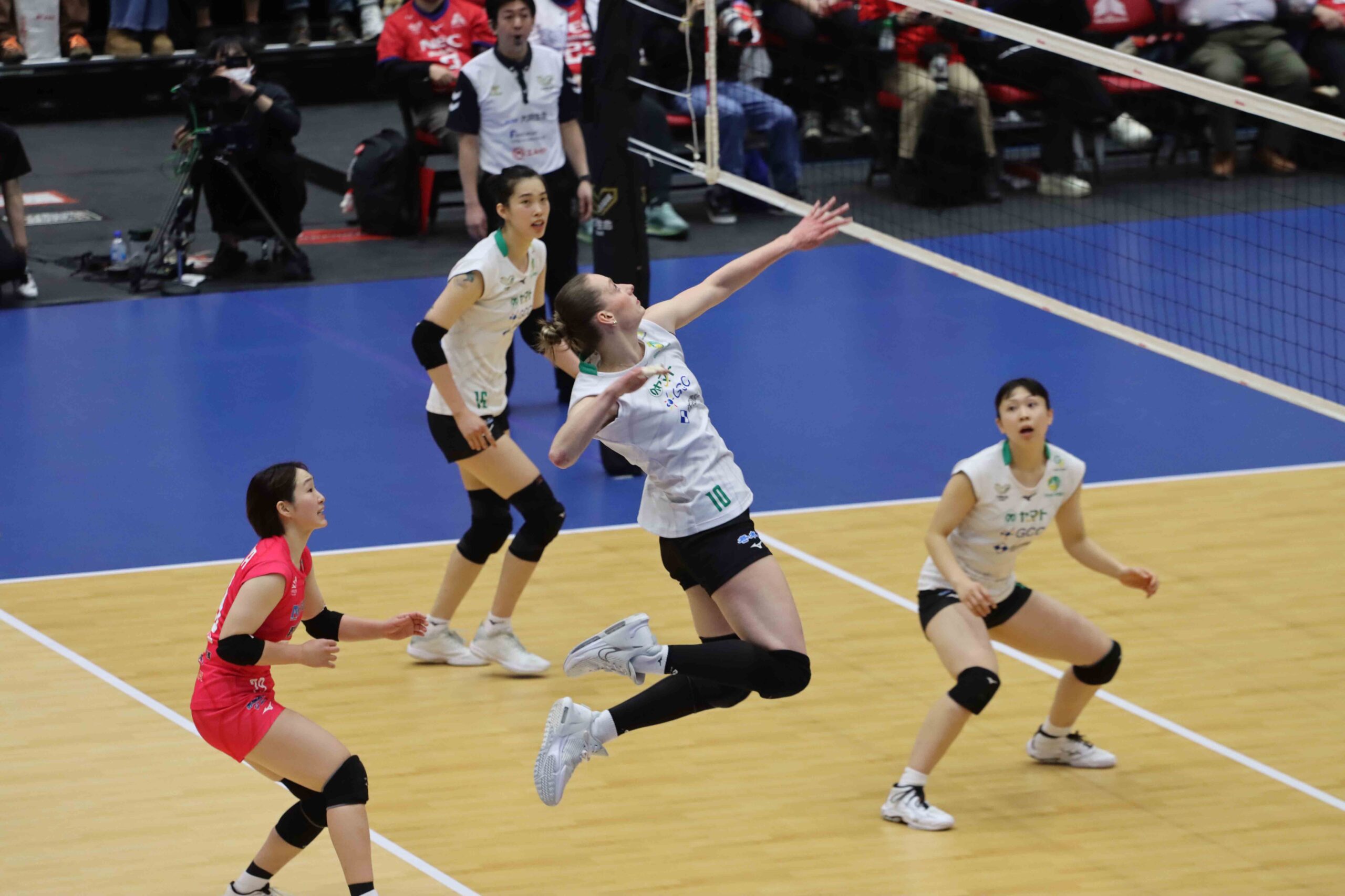 IMG_4916 のコピー