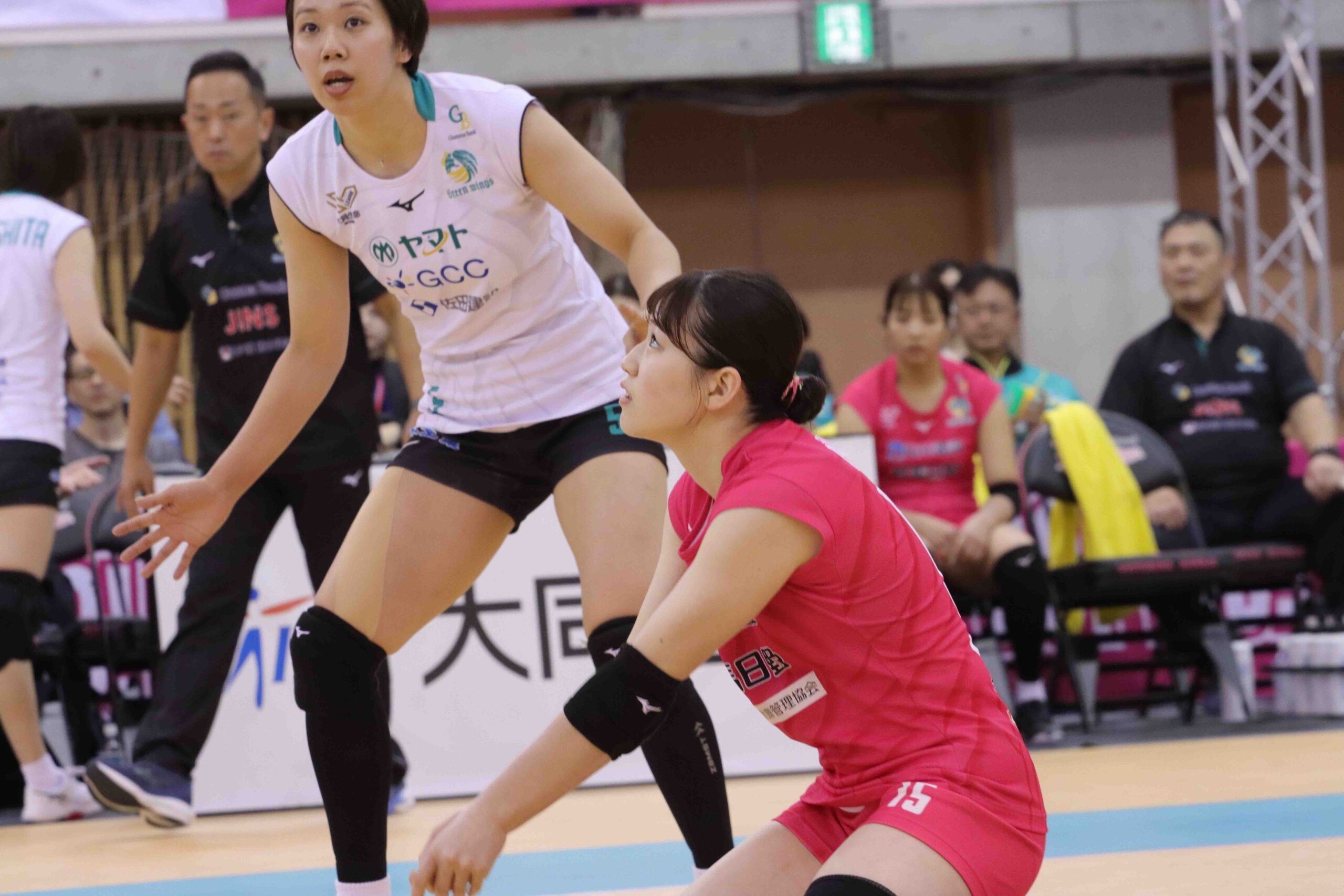 IMG_5871 のコピー