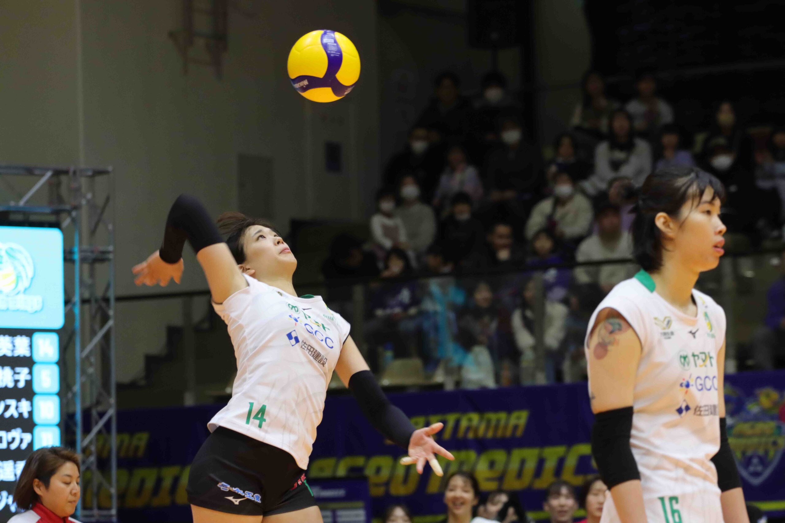 IMG_7241 のコピー