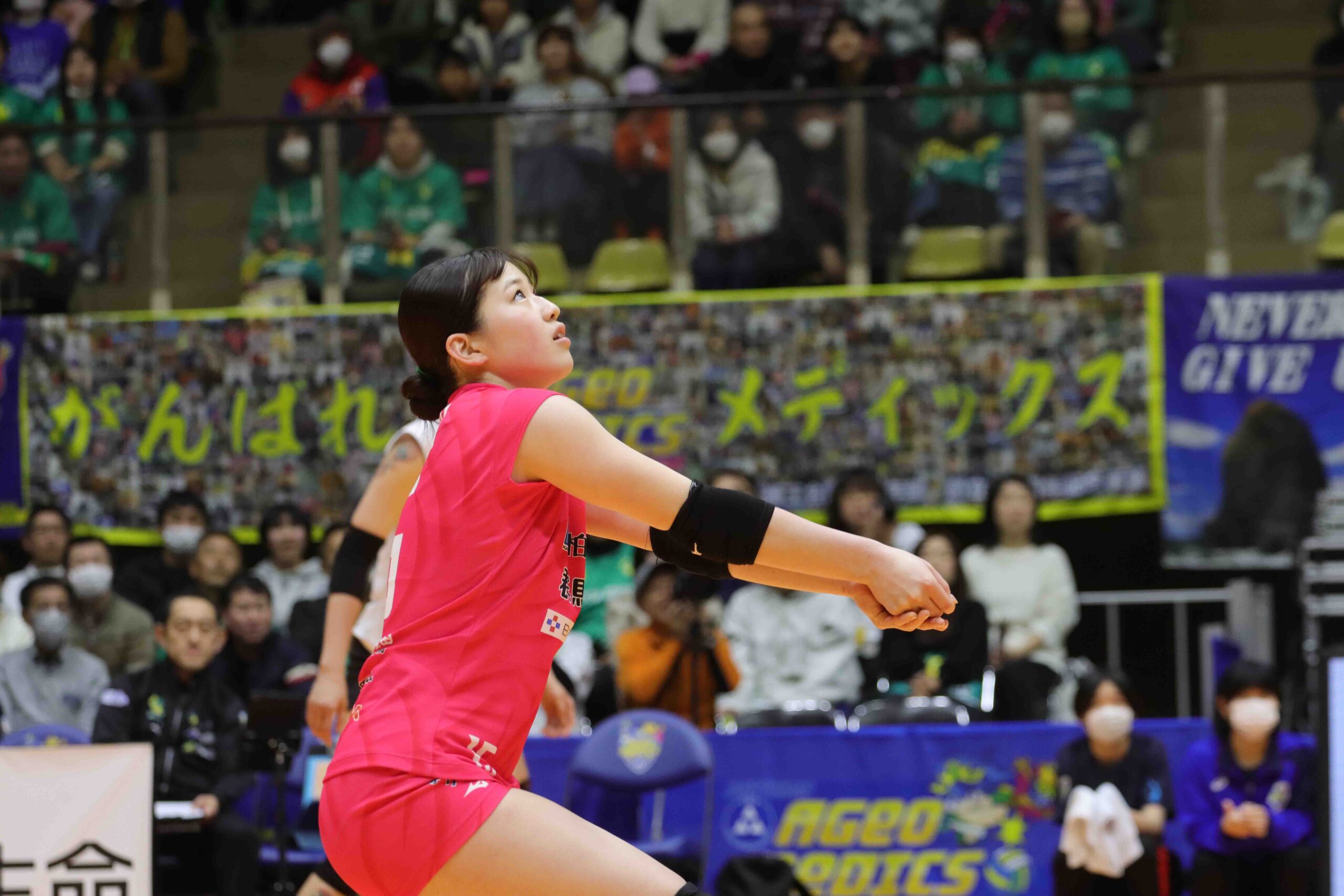 IMG_7304 のコピー