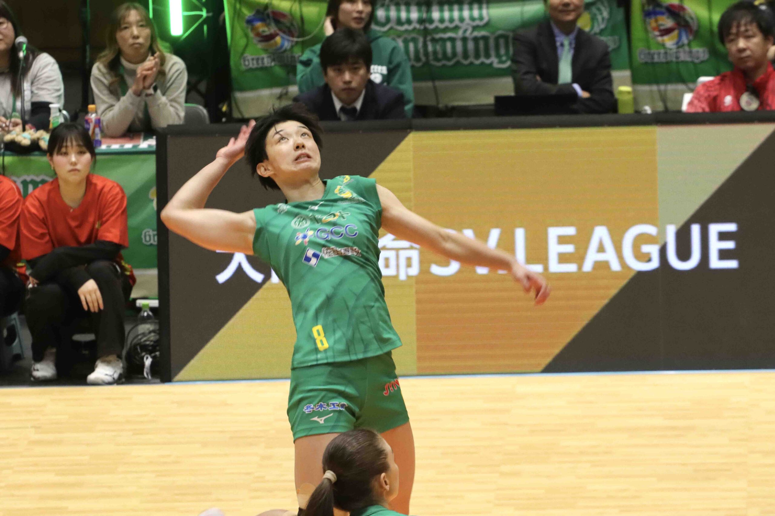 IMG_8585 のコピー